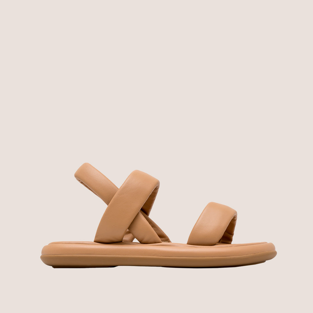 Lacio-Camel