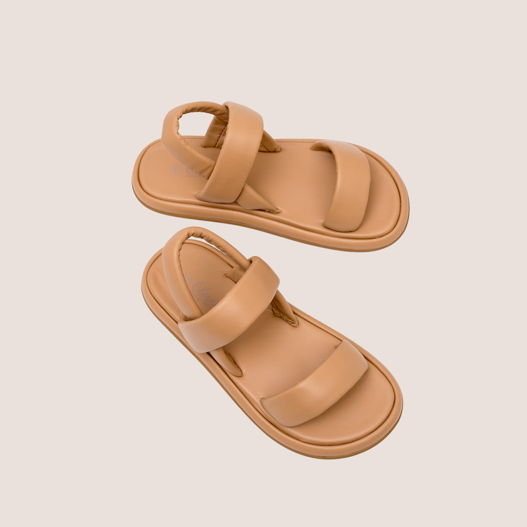 Lacio-Camel