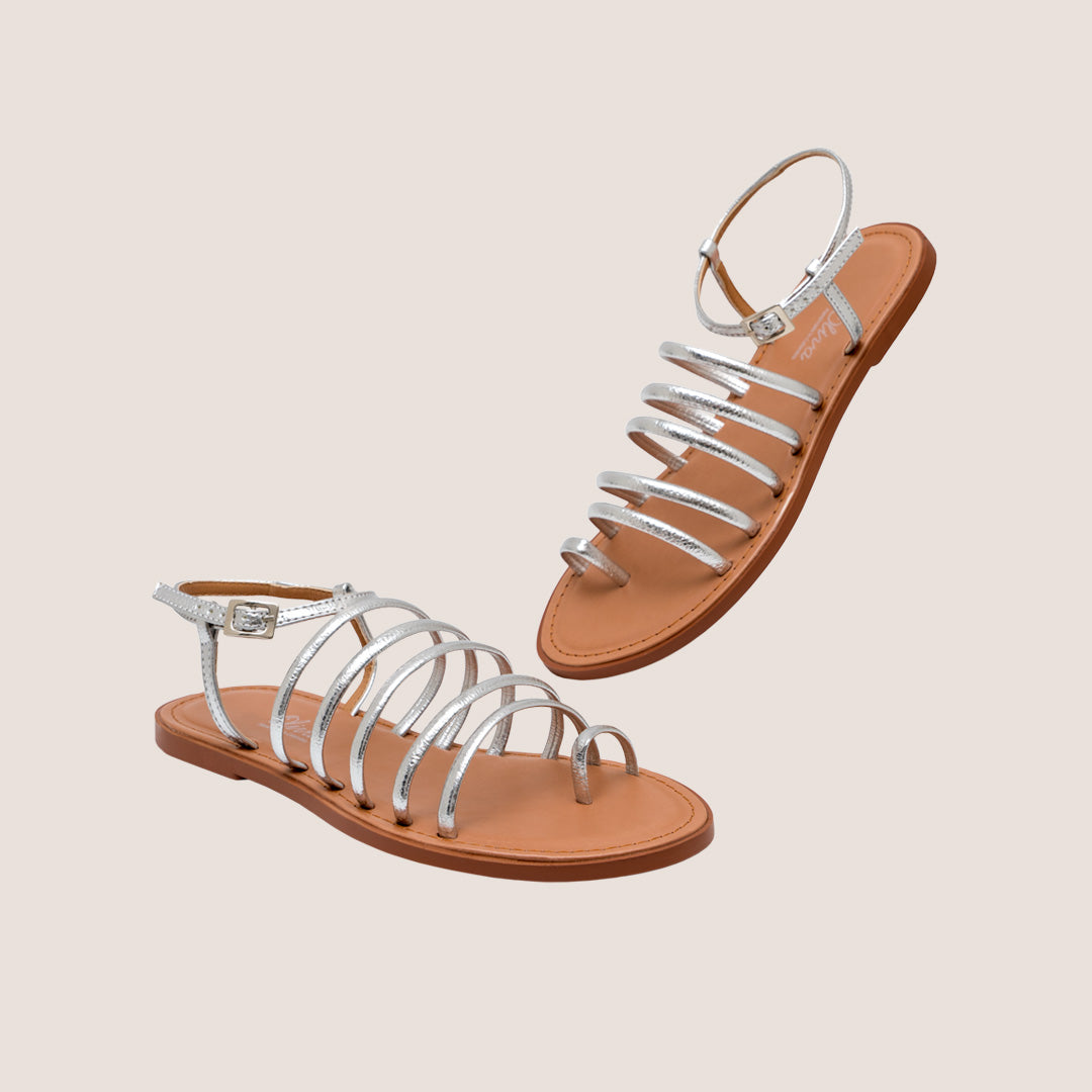 Dani-Plata