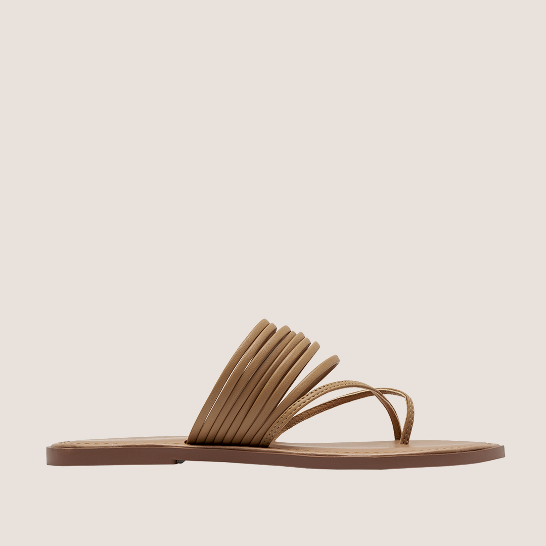 Sivila - Camel