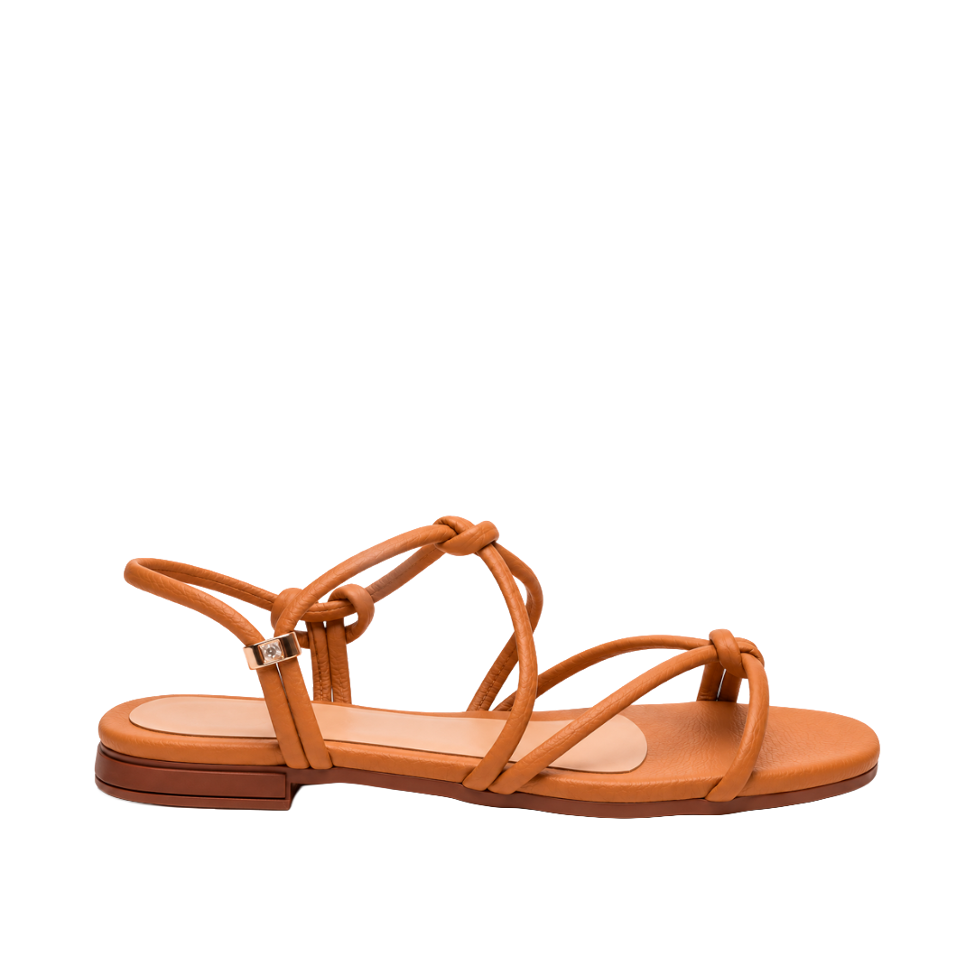 LIVIA - CAMEL